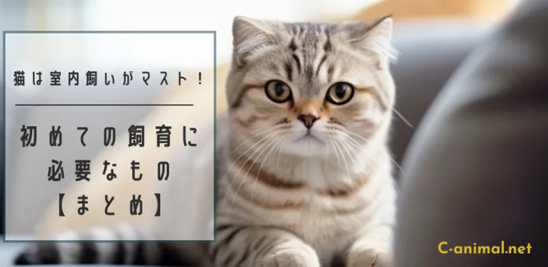 猫の飼育に必要なもの