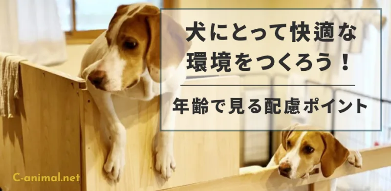 ケージから覗く2匹の犬