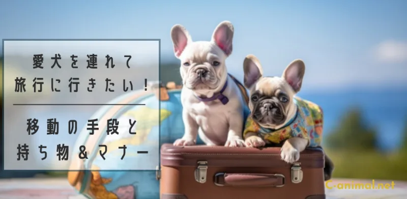 旅行バッグと2匹の犬